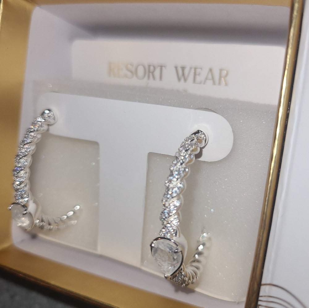 Elegant Silver Hoop Earrings